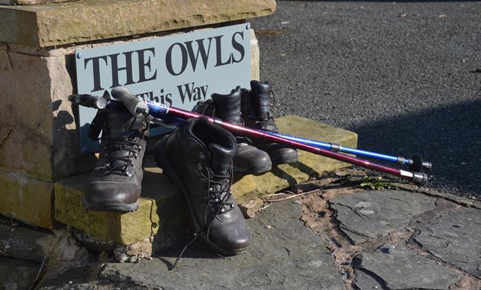 Walking from The Owls